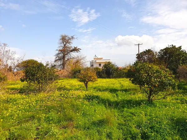 1,600 m² Land for Sale in Perivolia, Chania — photo 3