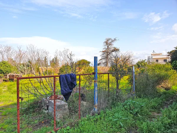 1,600 m² Land for Sale in Perivolia, Chania — photo 5