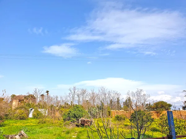 1,600 m² Land for Sale in Perivolia, Chania — photo 4