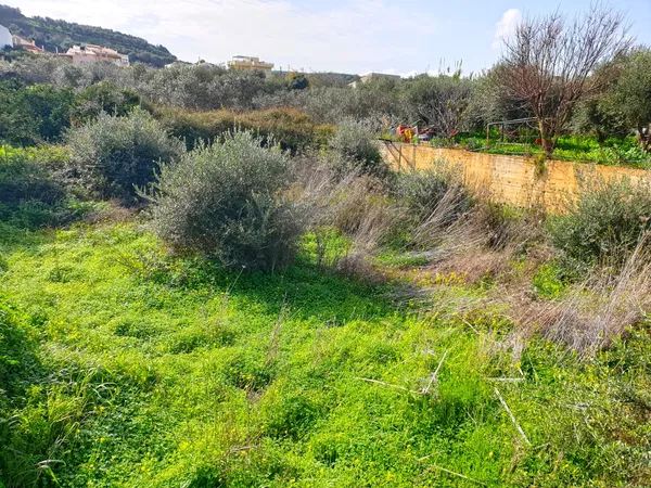 500 m² Plot for Sale in Agia Marina, Chania — photo 3