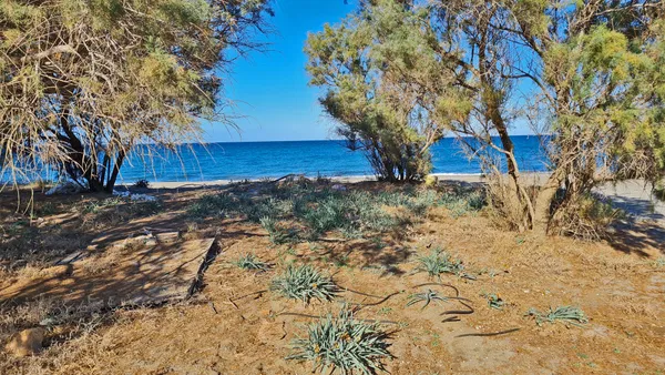Sea-View 1,206 m² Land for Sale in Platanias, Chania — photo 3