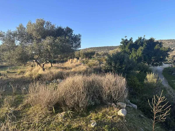 Sea-View 6,300 m² Plot for Sale in Akrotiri, Chania — photo 5