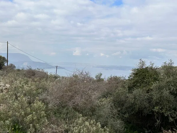 5,170 m² Plot of Land for Sale in Drapanos, Apokoronas