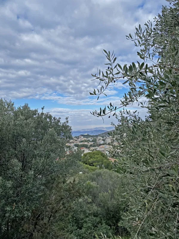 Sea-View 782 m² Plot for Sale in Saronida, Attica — photo 2