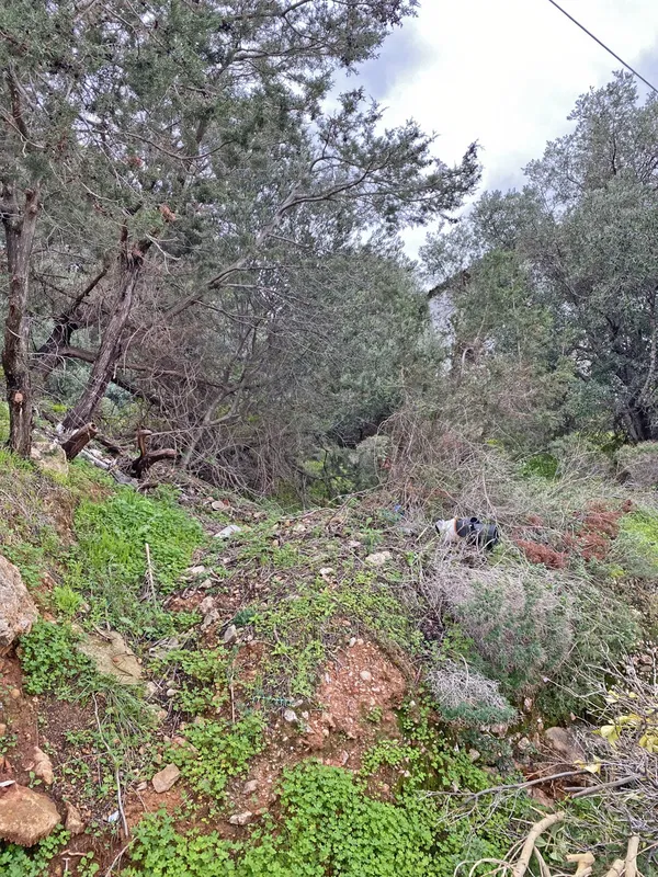 Sea-View 782 m² Plot for Sale in Saronida, Attica — photo 4