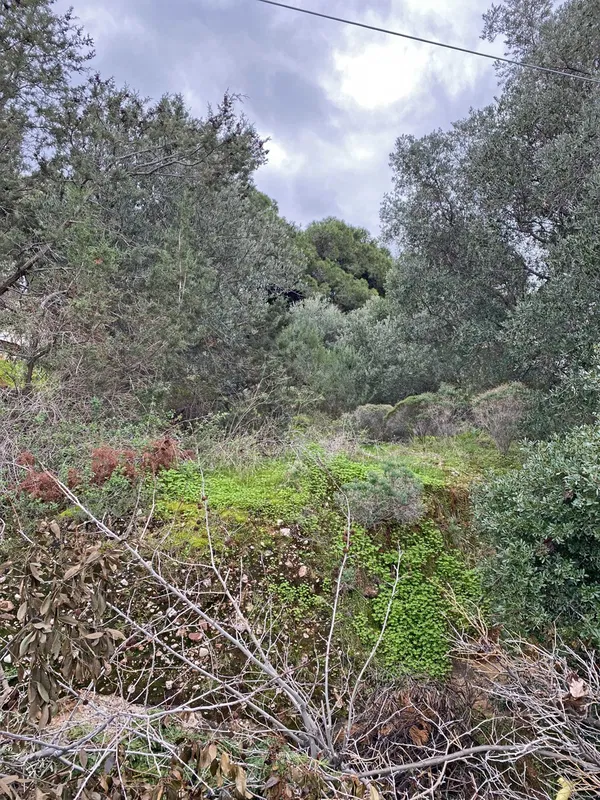 Sea-View 782 m² Plot for Sale in Saronida, Attica — photo 5