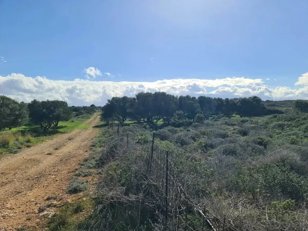 Seafront 24,216 m² Plot of Land for Sale in Stavros, Akrotiri — photo 5