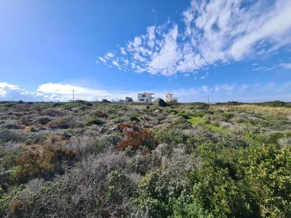 Seafront 24,216 m² Plot of Land for Sale in Stavros, Akrotiri — photo 3