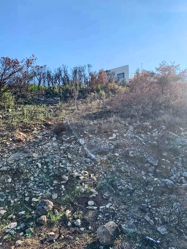 3,060 m² Plot for Sale in Pikermi, Rafina - Pikermi — photo 3