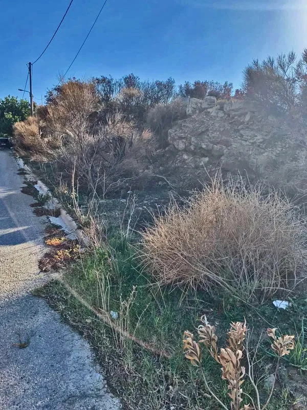 3,060 m² Plot for Sale in Pikermi, Rafina - Pikermi — photo 2