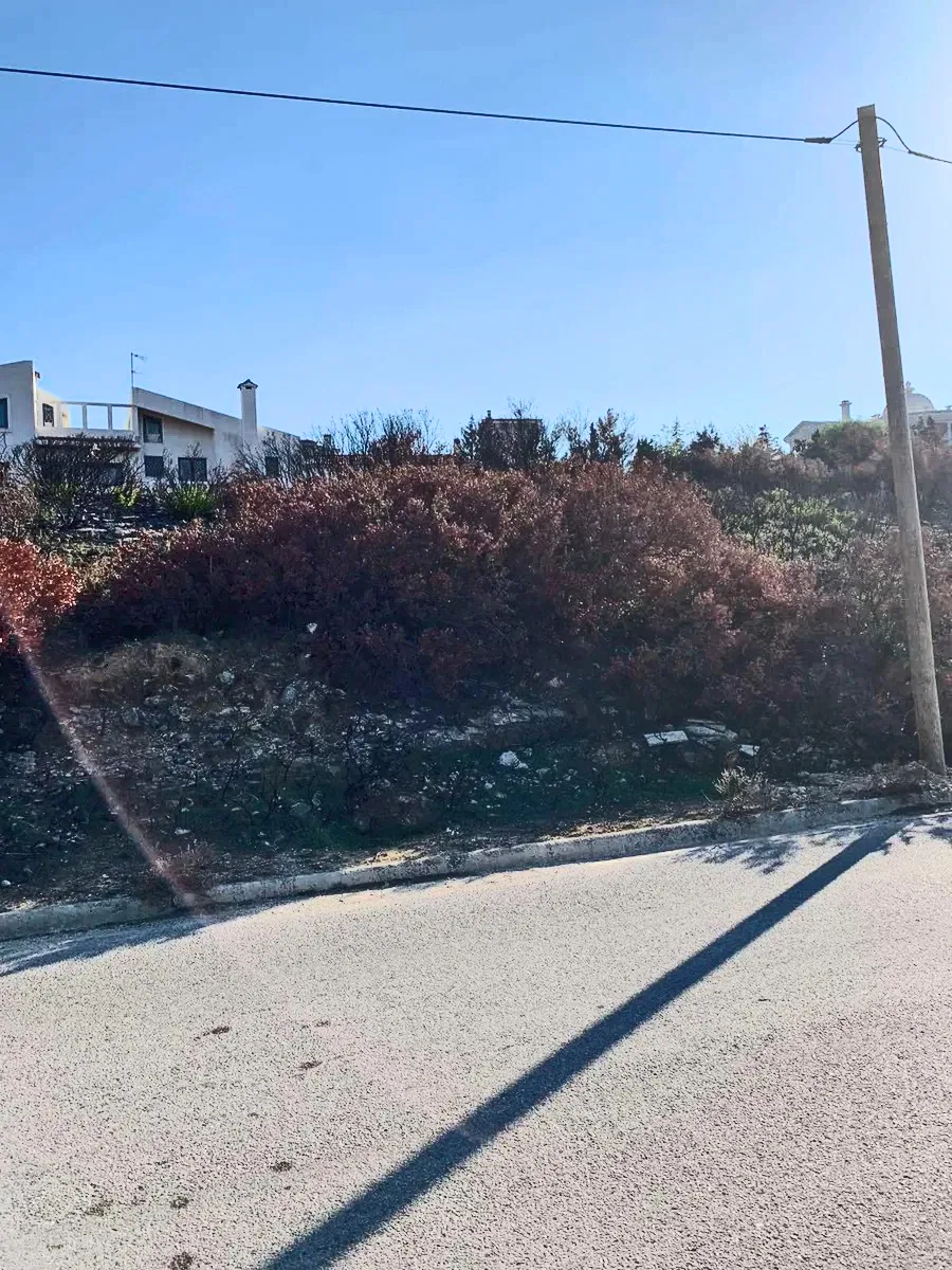 3,060 m² Plot for Sale in Pikermi, Rafina - Pikermi