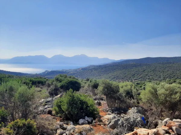 Sea-View 17,500 m² Plot for Sale in Agios Nikolaos, Lasithi