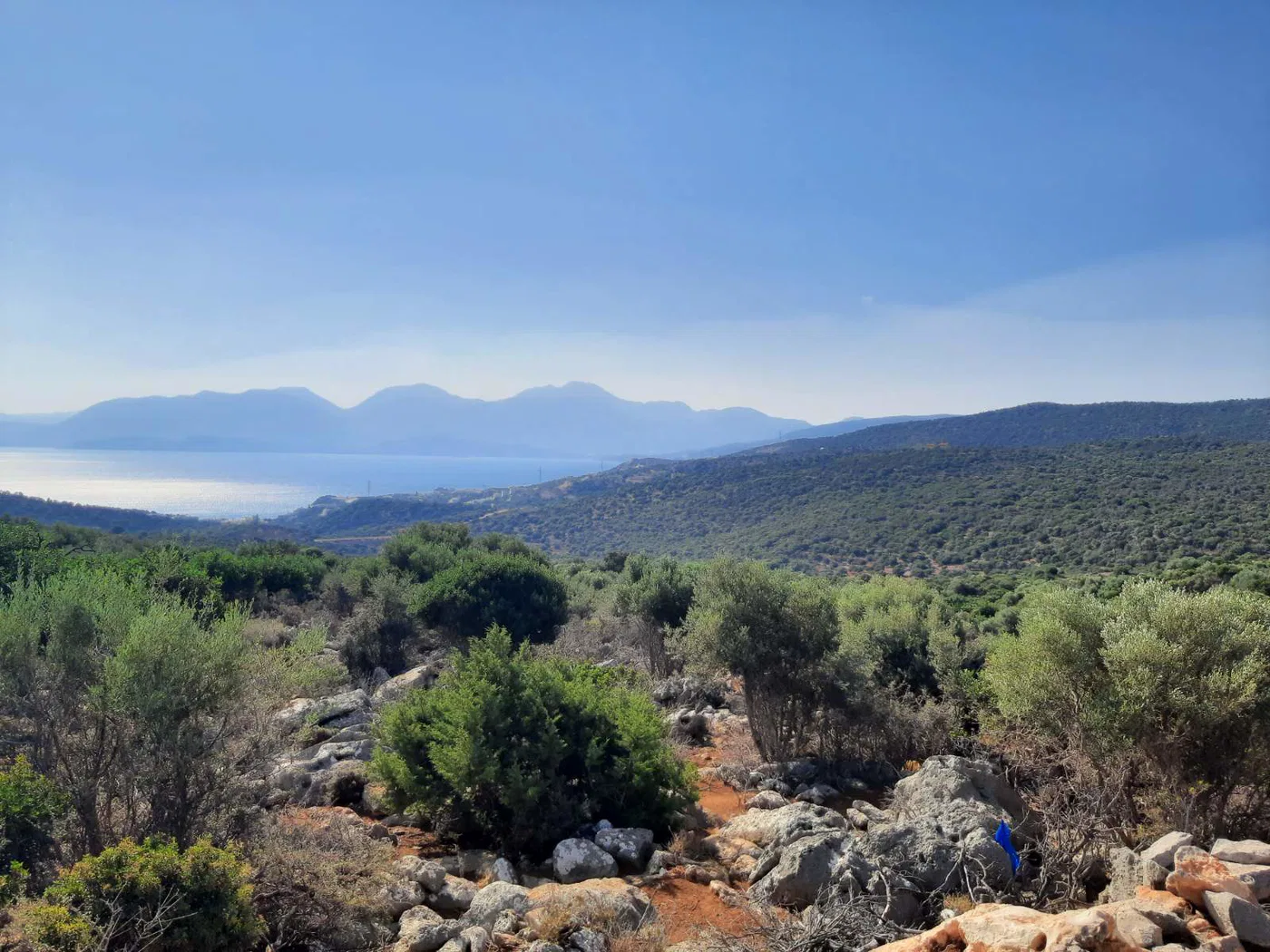 Sea-View 17,500 m² Plot for Sale in Agios Nikolaos, Lasithi
