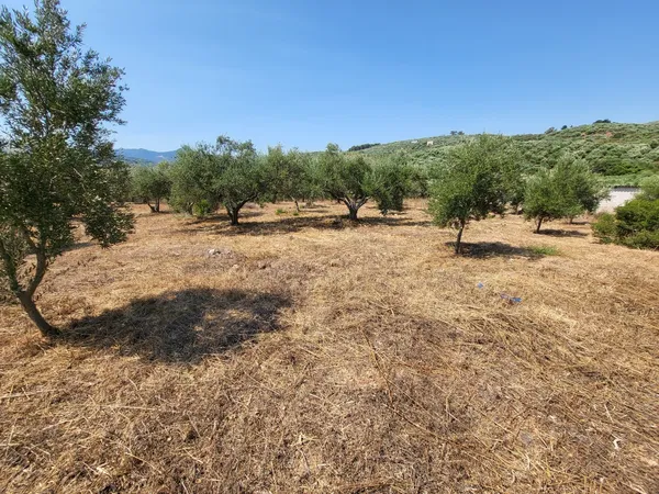 1,000 m² Land for Sale in Voukolies, Platanias — photo 5