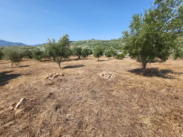 1,000 m² Land for Sale in Voukolies, Platanias — photo 4