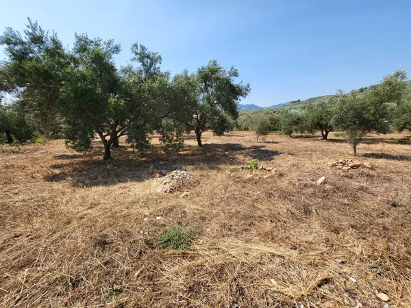 1,000 m² Land for Sale in Voukolies, Platanias — photo 3