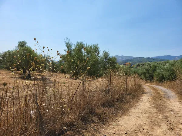 1,000 m² Land for Sale in Voukolies, Platanias — photo 2