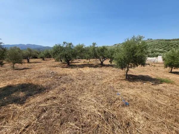 2,000 m² Land for Sale in Voukolies, Platanias — photo 3