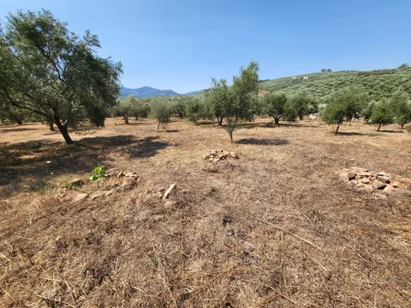 2,000 m² Land for Sale in Voukolies, Platanias — photo 2