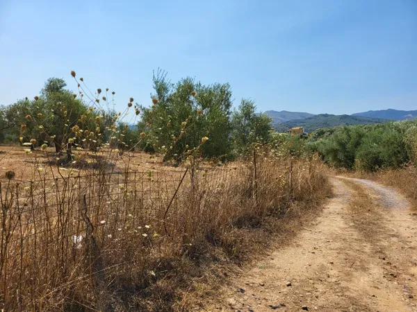 2,000 m² Land for Sale in Voukolies, Platanias — photo 5
