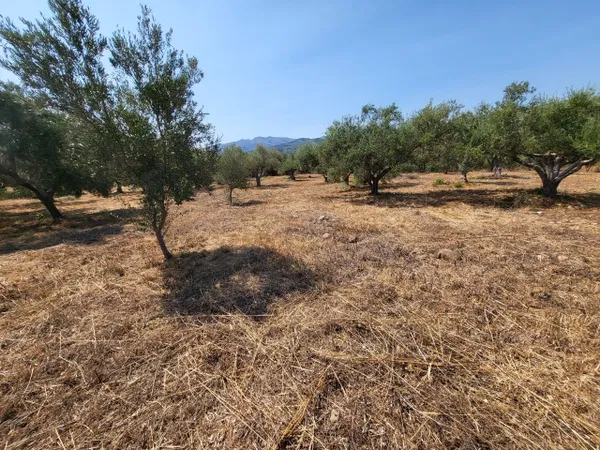 2,000 m² Land for Sale in Voukolies, Platanias — photo 4