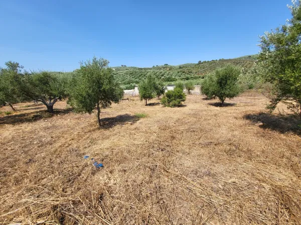 2,000 m² Land for Sale in Voukolies, Platanias