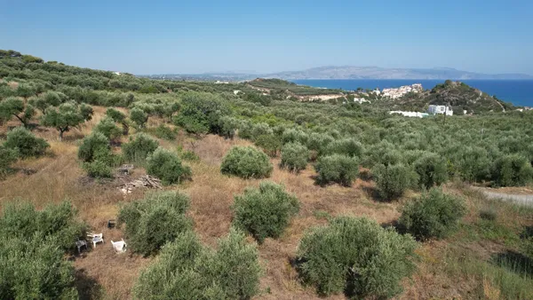 Sea-View 10,498 m² Plot for Sale in Agia Marina, Chania — photo 3