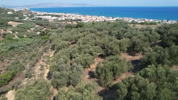 Sea-View 3,200 m² Plot for Sale in Agia Marina, Chania — photo 3