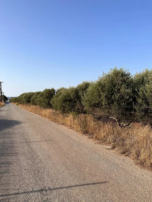 Sea-View 14,869 m² Land for Sale in Stavros, Akrotiri — photo 4