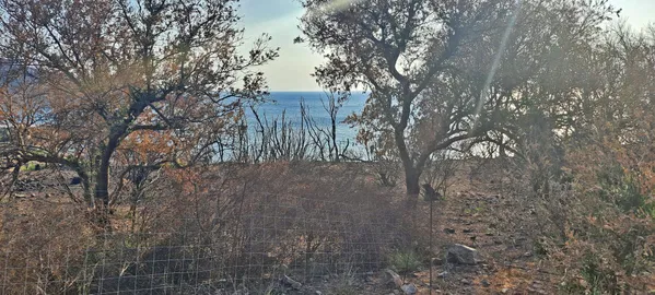 Seafront 9,600 m² Plot for Sale in Sfinari, Kissamos — photo 4