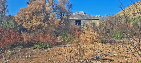 Seafront 9,600 m² Plot for Sale in Sfinari, Kissamos — photo 3