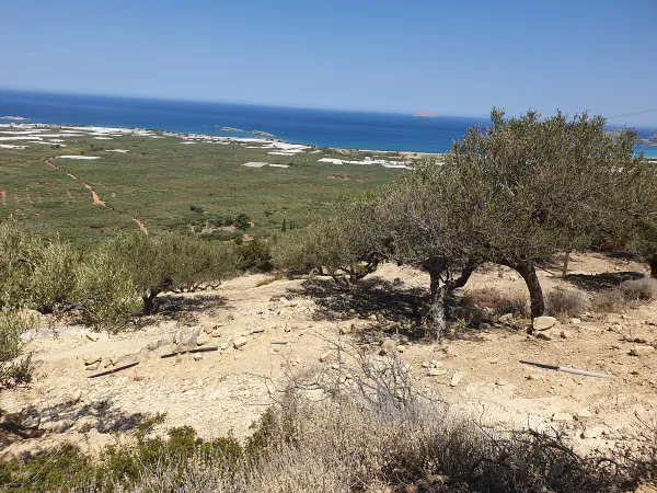 Sea-View 5,800 m² Plot for Sale in Falasarna, Kissamos — photo 5