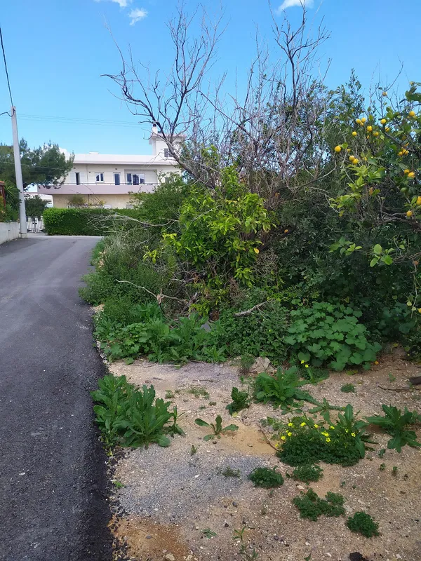 Seafront 475 m² Land for Sale in Gazi Heraklion, Malevizi — photo 2