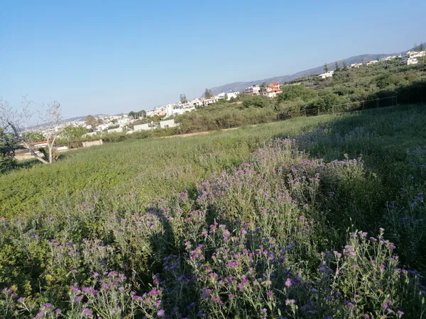 2,246 m² Plot for Sale in Kalamaki, Chania — photo 2