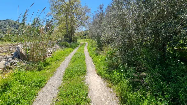10,829 m² Plot of Land for Sale in Platanias, Chania — photo 5