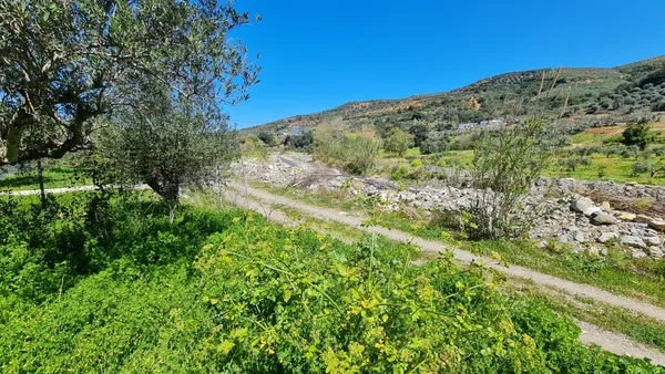 10,829 m² Plot of Land for Sale in Platanias, Chania — photo 4