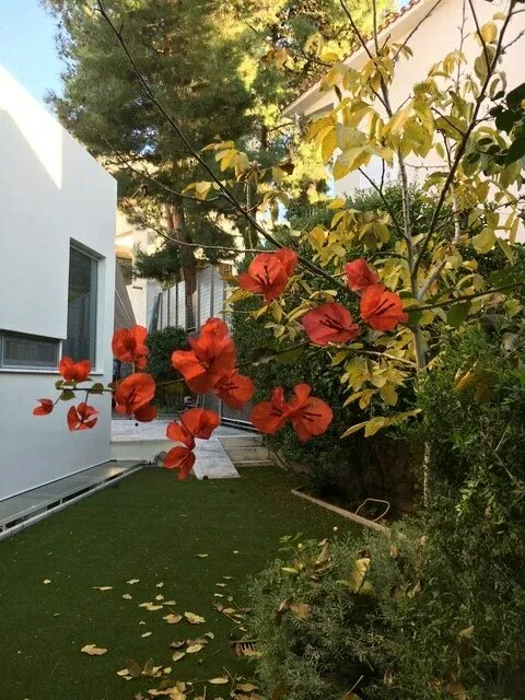 Four-Bedroom Villa for Sale in Psychiko - Filothei, Athens Northern suburbs — photo 3