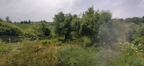 Seafront 2,033 m² Plot for Sale in Tsivaras, Apokoronas with Building permit — photo 2