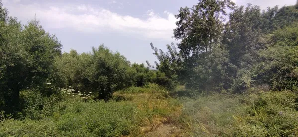 Seafront 2,033 m² Plot for Sale in Tsivaras, Apokoronas with Building permit