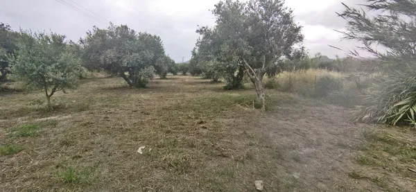 2,575 m² Land for Sale in Kolymbari, Platanias — photo 5