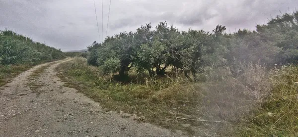 2,575 m² Land for Sale in Kolymbari, Platanias — photo 3