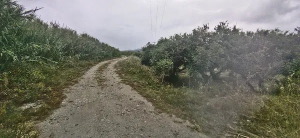 2,575 m² Land for Sale in Kolymbari, Platanias — photo 2
