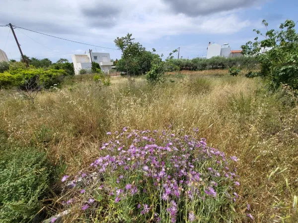 1,000 m² Plot of Land for Sale in Pazinos, Akrotiri — photo 3