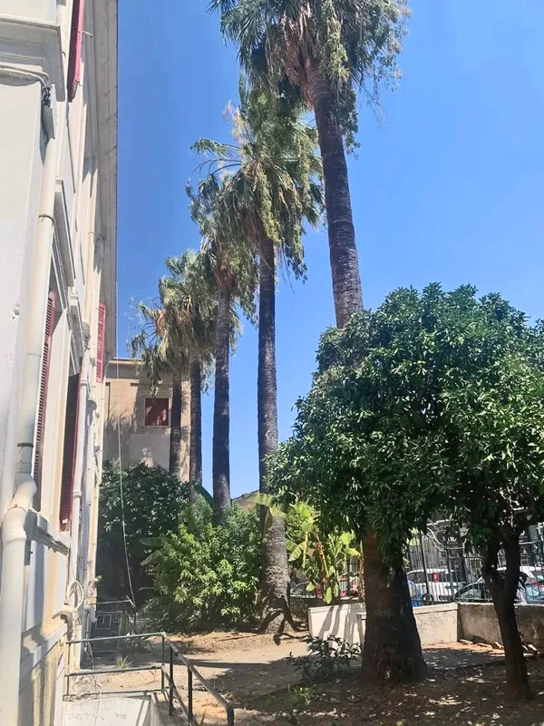 609 m² Building for Sale in Rhodes, Dodecanese Islands — photo 4