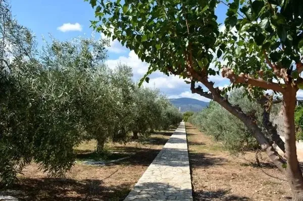 Sea-View 245 m² Villa with Seven Bedrooms for Sale in Nafplio, Argolida — photo 5