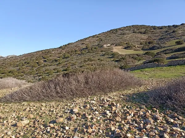 Sea-View 15,500 m² Plot for Sale in Antiparos, Cyclades — photo 5