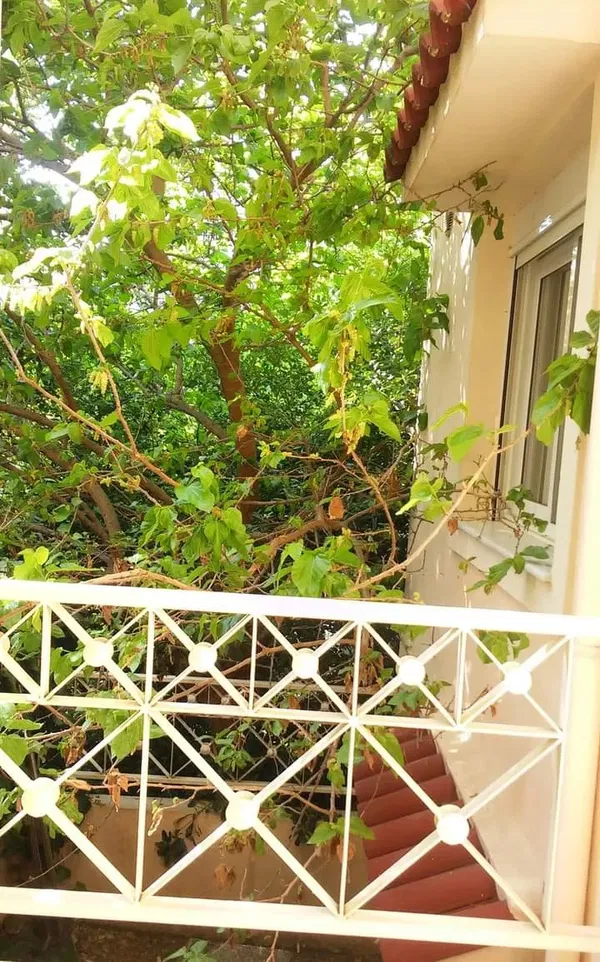 Four-Bedroom Villa for Sale in Agia Paraskevi Athens, Athens Northern suburbs — photo 3