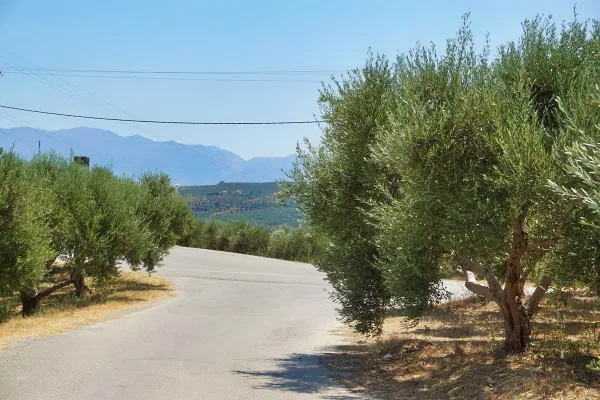 Sea-View 3,382 m² Land for Sale in Xamoudochori, Platanias — photo 4