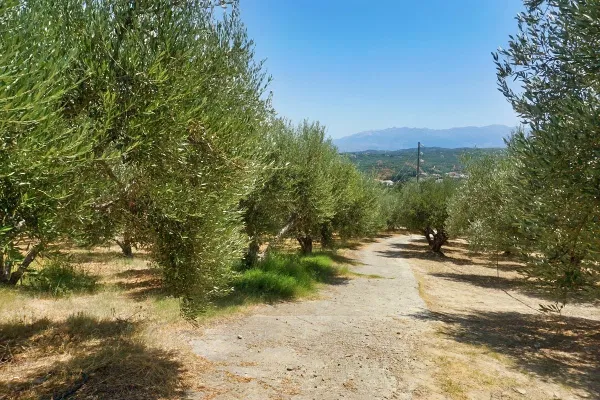 Sea-View 3,382 m² Land for Sale in Xamoudochori, Platanias — photo 5