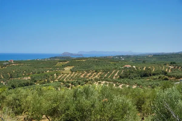 Sea-View 3,382 m² Land for Sale in Xamoudochori, Platanias — photo 3